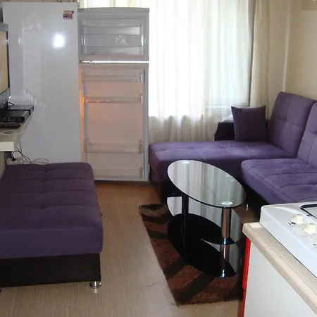 Basari Apart Apartment *