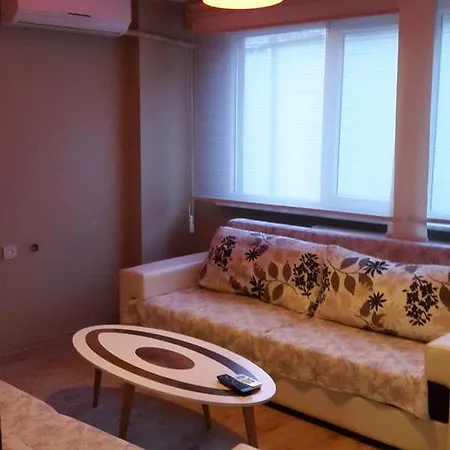 Basari Apart Apartment *